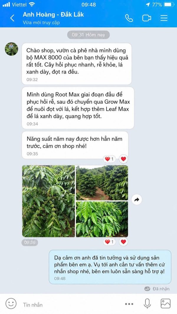 Phản hồi khách hàng sử dụng phân bón AGRIAMIN NPK 8000