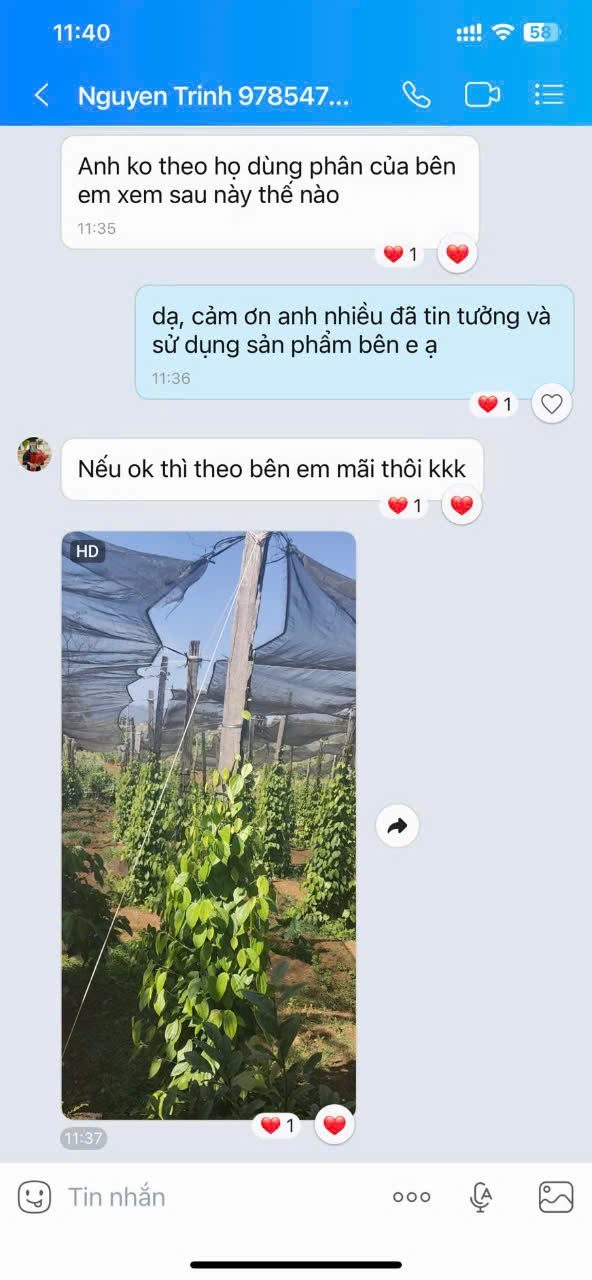 Phản hồi khách hàng sử dụng phân bón AGRIAMIN NPK 8000
