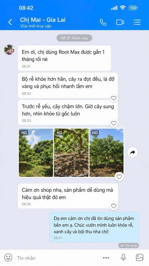 Phản hồi khách hàng sử dụng phân bón AGRIAMIN NPK 8000
