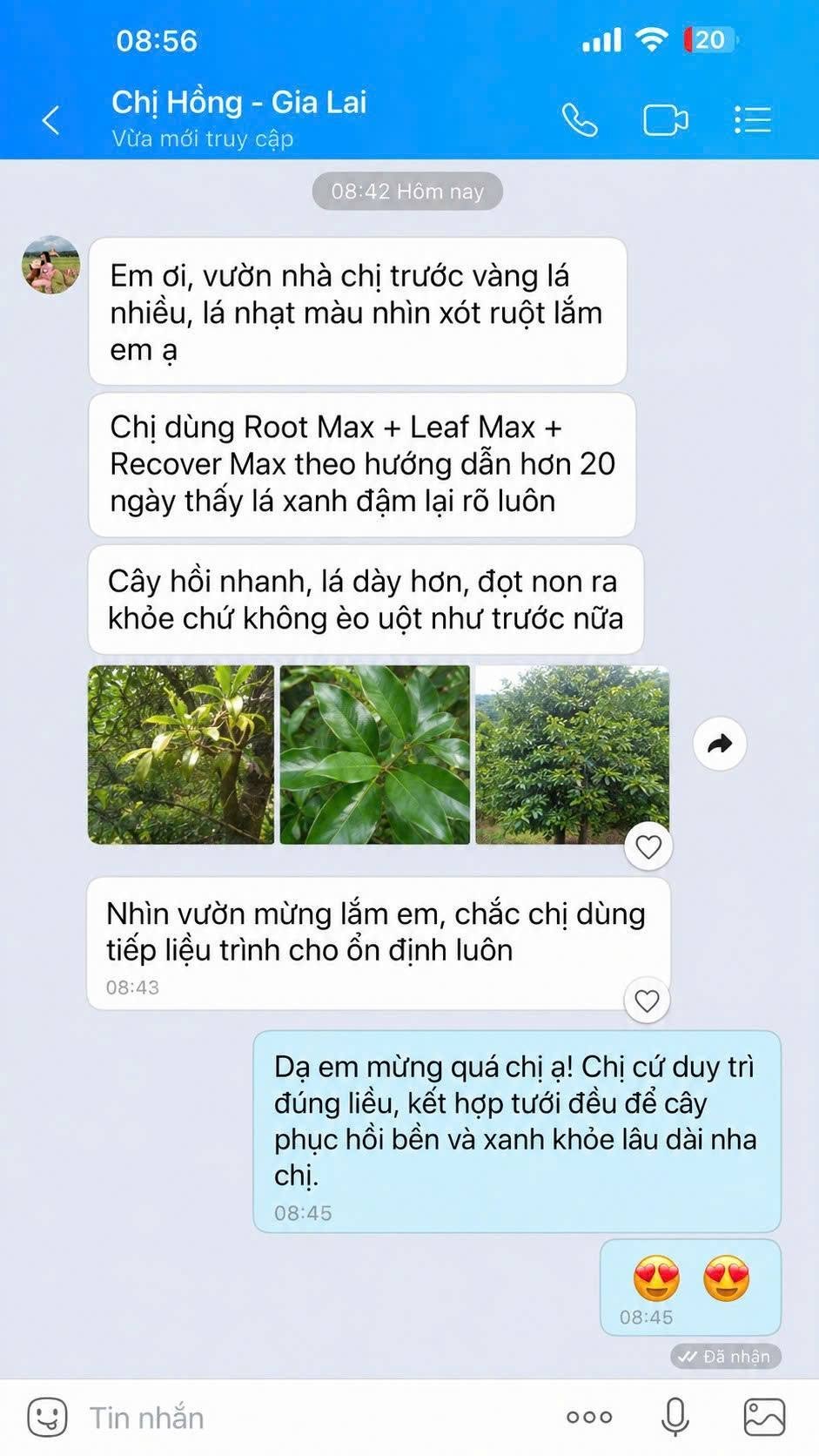Phản hồi khách hàng sử dụng phân bón AGRIAMIN NPK 8000