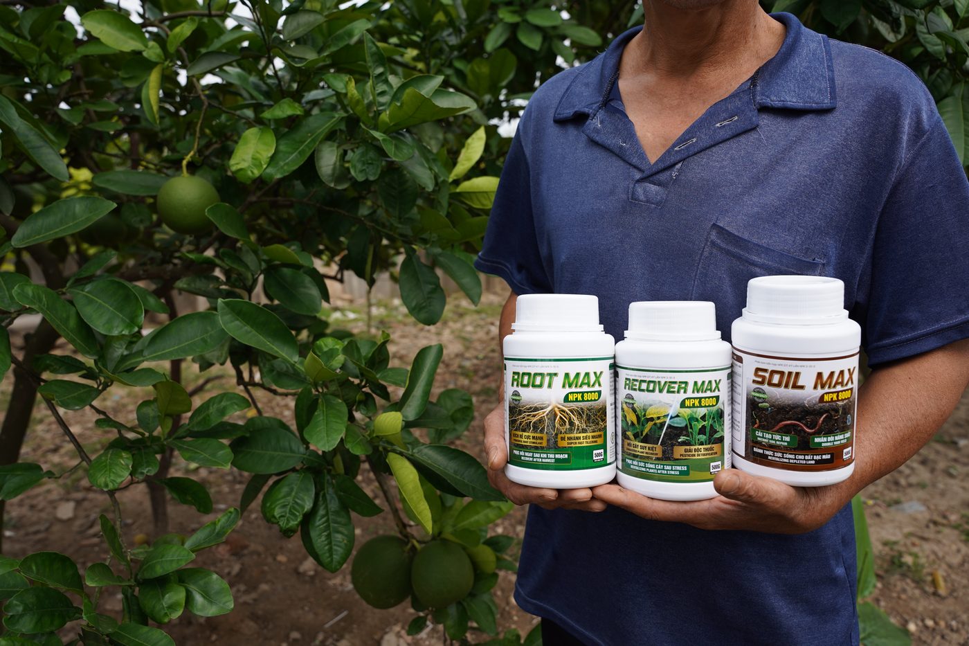 Khách hàng sử dụng ROOT MAX, RECOVER MAX, SOIL MAX NPK 8000