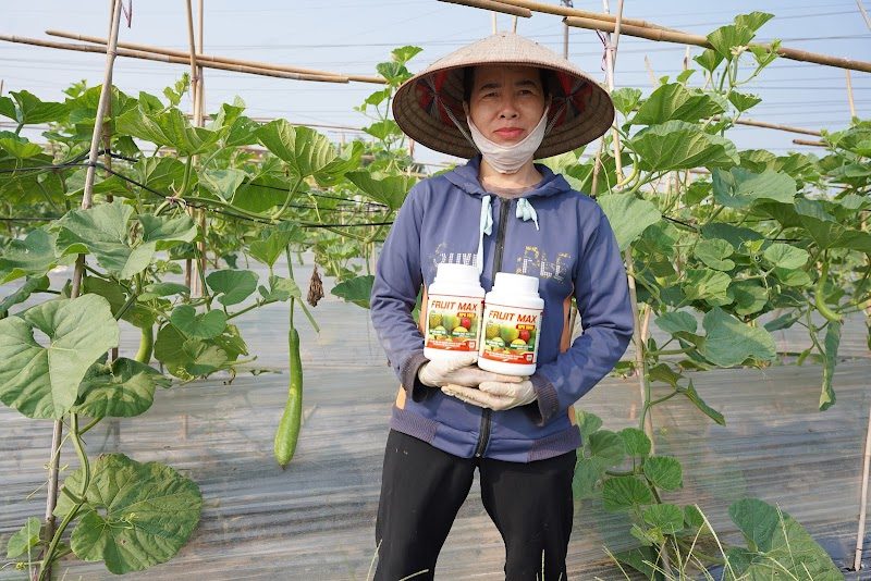 Khách hàng sử dụng FRUIT MAX NPK 8000 trên vườn dưa