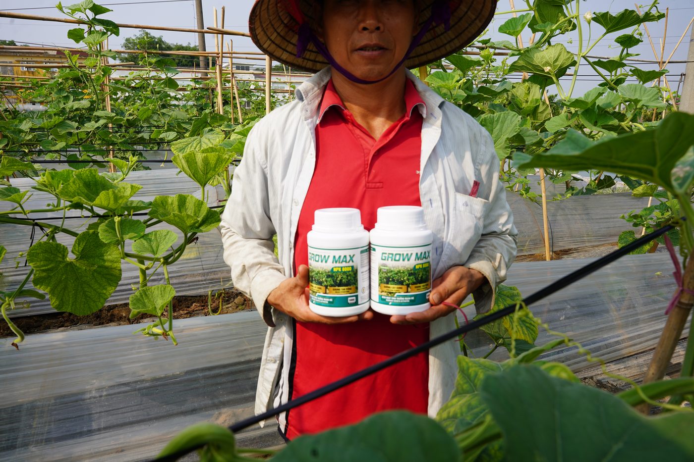 Khách hàng sử dụng GROW MAX NPK 8000 trên vườn dưa