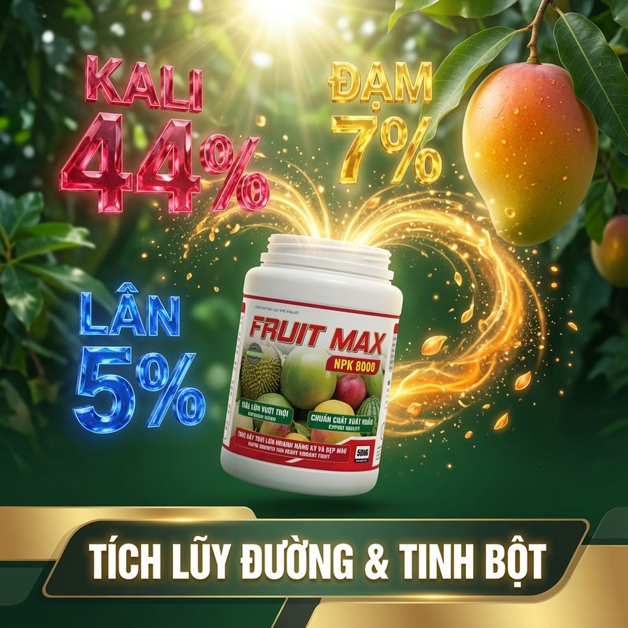 TĂNG NĂNG SUẤT VÀ CHẤT LƯỢNG TRÁI - FRUIT MAX NPK 8000