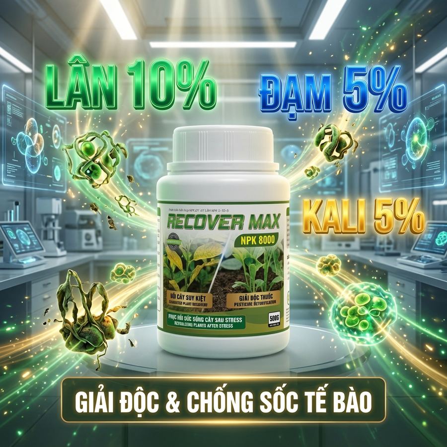 PHỤC HỒI SỨC SỐNG CÂY SAU STRESS - RECOVER MAX NPK 8000
